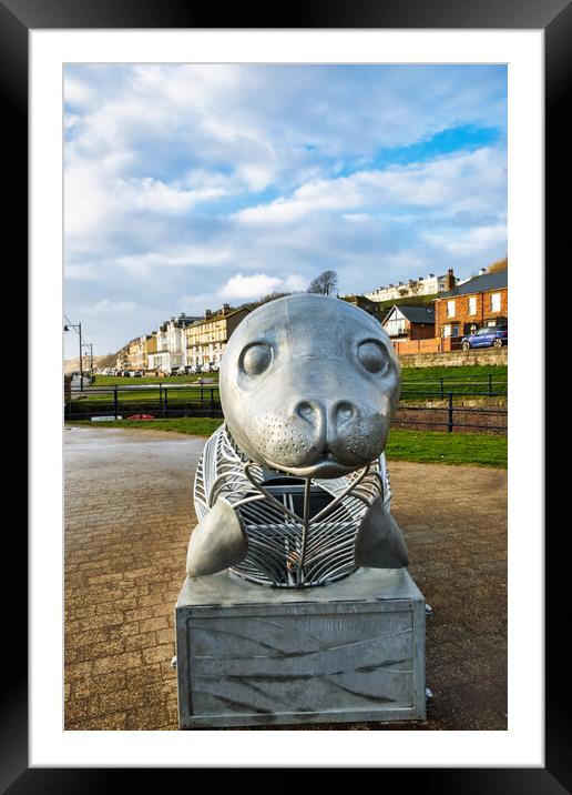 The Filey Seal Framed Mounted Print by Steve Smith