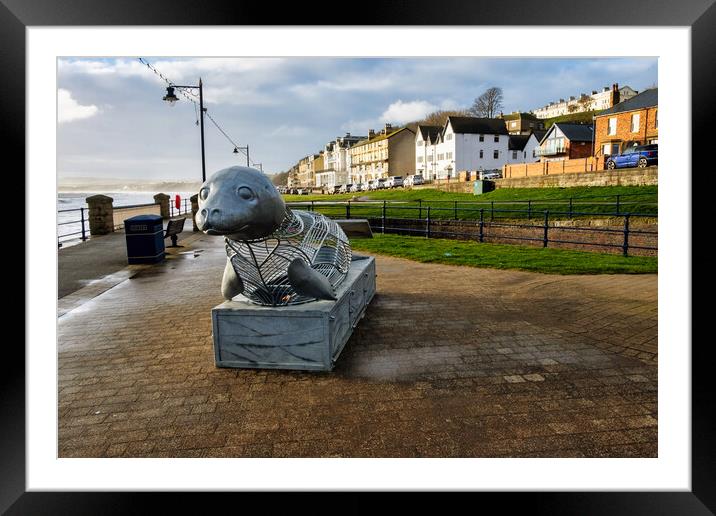 The Playful Filey Seal Framed Mounted Print by Steve Smith