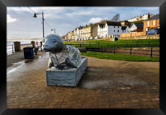The Playful Filey Seal Framed Print by Steve Smith