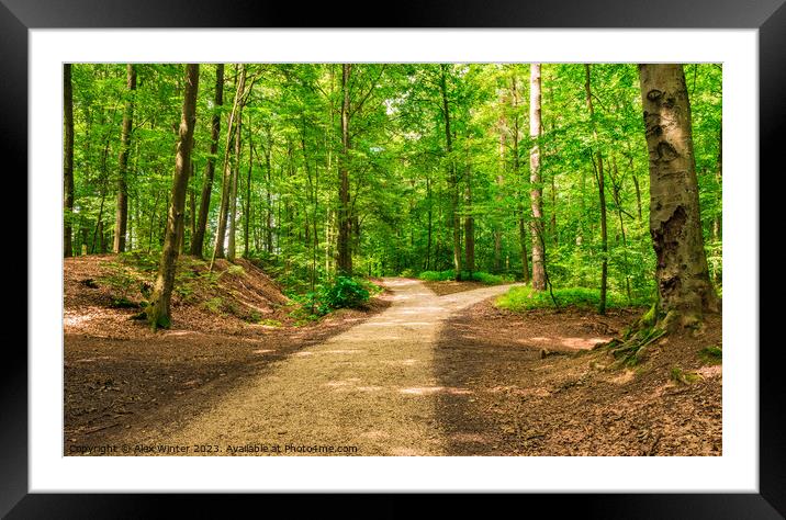 Forked roads right and left in green forest Framed Mounted Print by Alex Winter