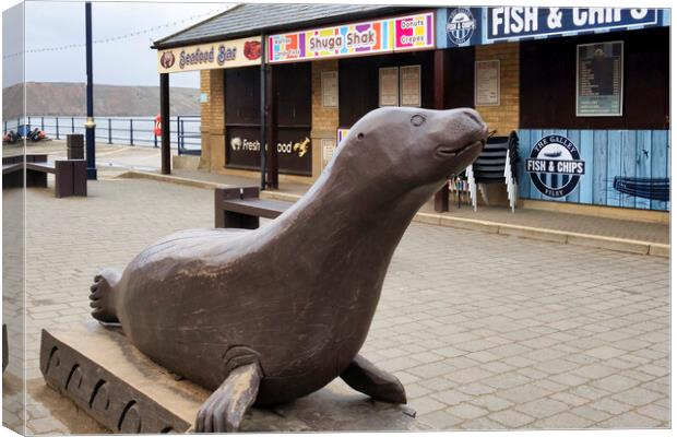 Bonzo the Seal at Filey Canvas Print by Tim Hill