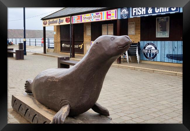 Bonzo the Seal at Filey Framed Print by Tim Hill