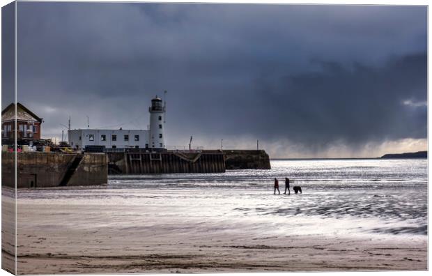 Scarborough Dog Walkers Canvas Print by Tim Hill