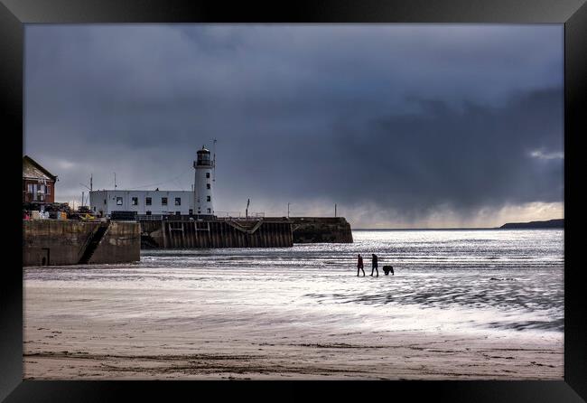 Scarborough Dog Walkers Framed Print by Tim Hill