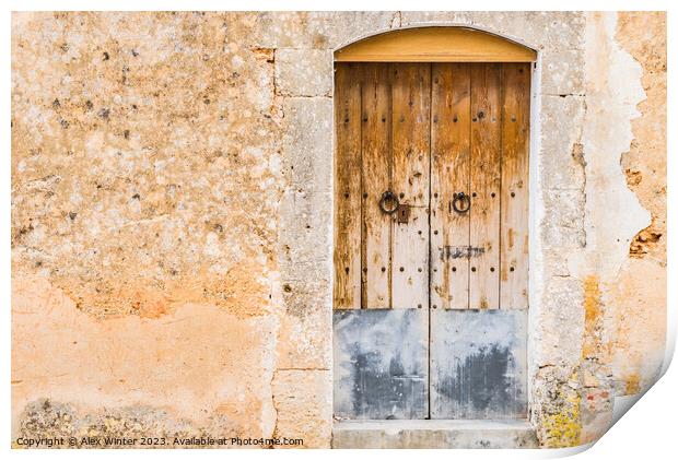 Vintage grunge wooden front door Print by Alex Winter