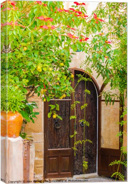 Romantic mediterranean house entrance door Canvas Print by Alex Winter