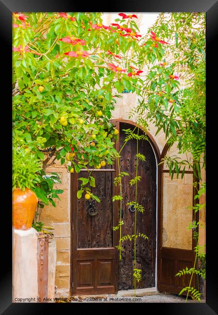 Romantic mediterranean house entrance door Framed Print by Alex Winter