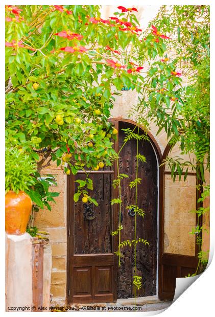Romantic mediterranean house entrance door Print by Alex Winter