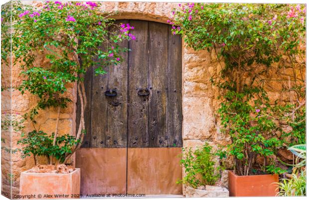 old wooden front door with potted plants Canvas Print by Alex Winter