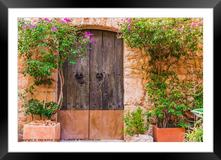 old wooden front door with potted plants Framed Mounted Print by Alex Winter