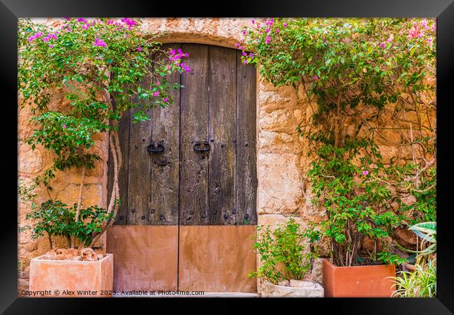 old wooden front door with potted plants Framed Print by Alex Winter