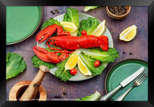 Boiled lobster, greens and lemon Framed Print by Mykola Lunov Mykola