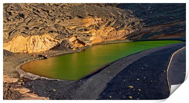 The Green Lake Print by Joyce Storey