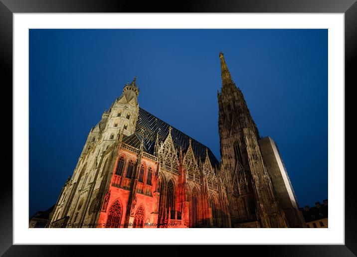 Saint Stephen's Cathedral in Vienna at Night Framed Mounted Print by Dietmar Rauscher