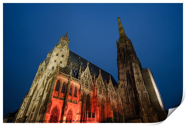 Saint Stephen's Cathedral in Vienna at Night Print by Dietmar Rauscher