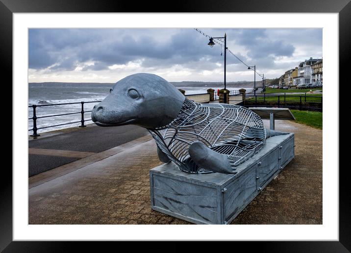 Filey Giant Seal Framed Mounted Print by Tim Hill