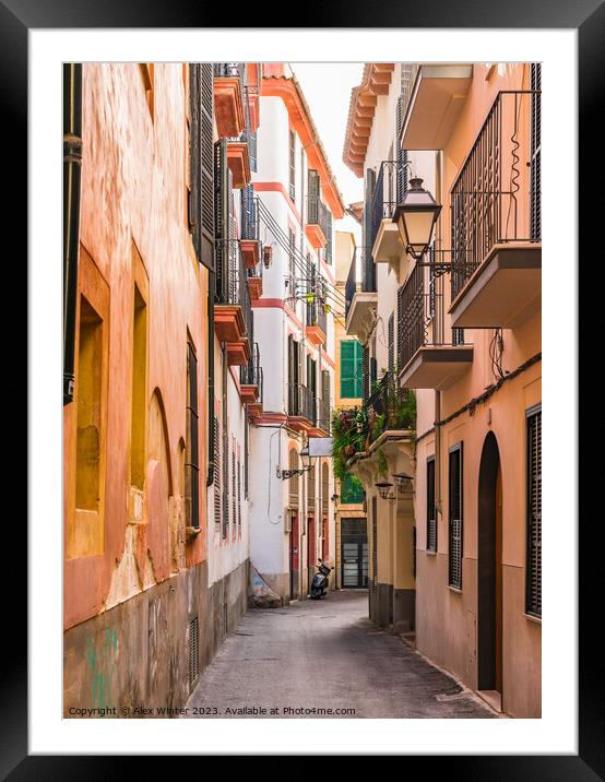 Narrow street at the old town of Palma de Majorca Framed Mounted Print by Alex Winter