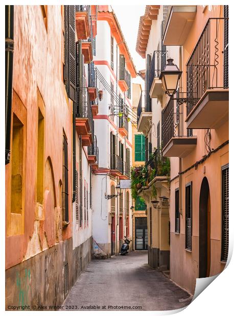 Narrow street at the old town of Palma de Majorca Print by Alex Winter