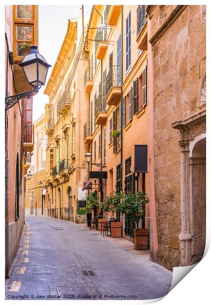 Street at the old town of Palma Majorca Print by Alex Winter