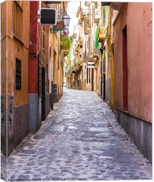 Spain Palma Mallorca Canvas Print by Alex Winter