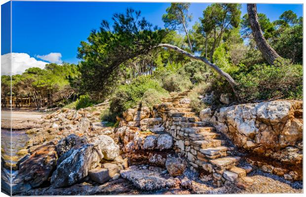 Rustic stone staircase Canvas Print by Alex Winter