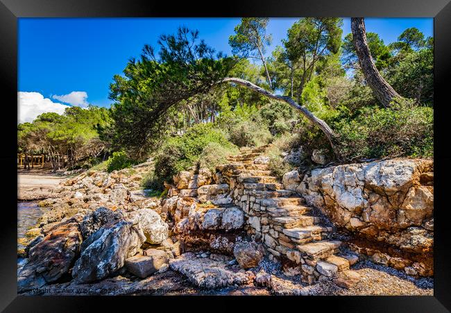 Rustic stone staircase Framed Print by Alex Winter