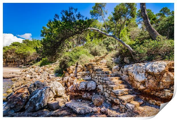 Rustic stone staircase Print by Alex Winter