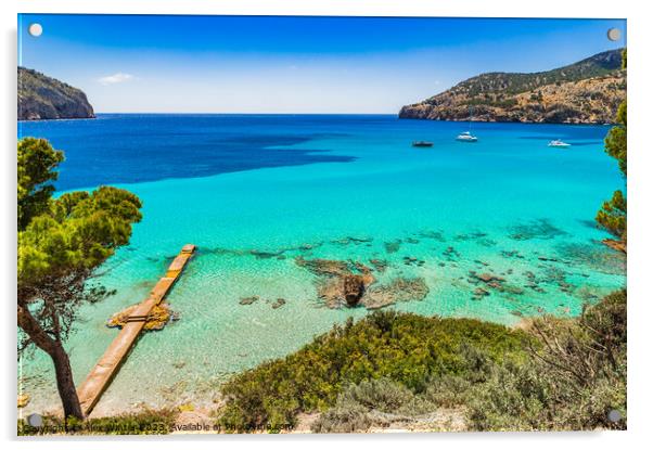 Camp de Mar Spain Majorca Balearic Islands Acrylic by Alex Winter