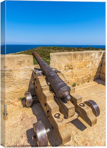 cannon at the coast of Mallorca Canvas Print by Alex Winter