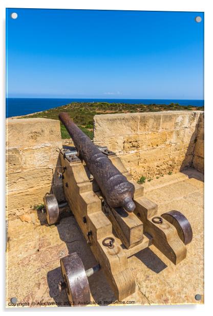 cannon at the coast of Mallorca Acrylic by Alex Winter