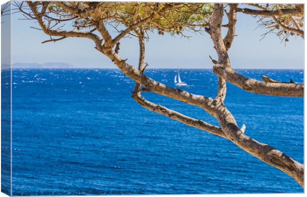 Idyllic sea view at the coast on Majorca Canvas Print by Alex Winter