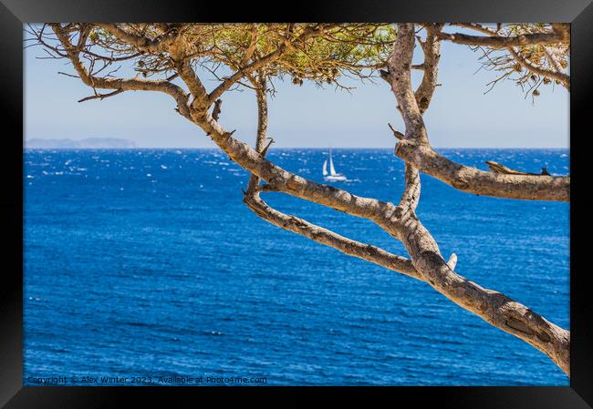 Idyllic sea view at the coast on Majorca Framed Print by Alex Winter