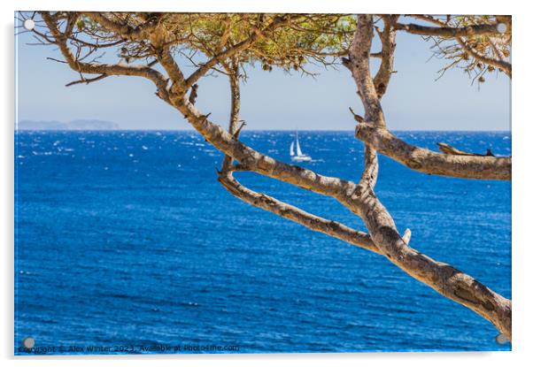 Idyllic sea view at the coast on Majorca Acrylic by Alex Winter