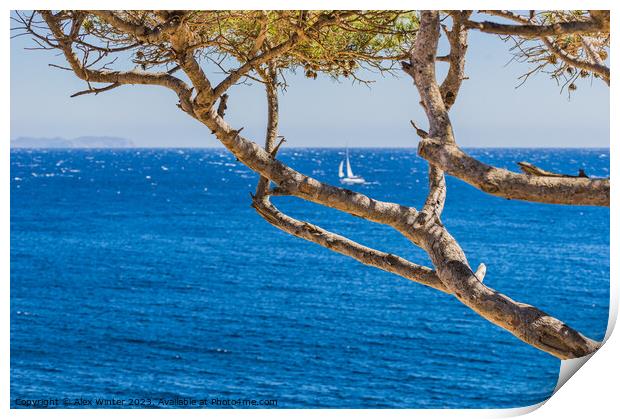 Idyllic sea view at the coast on Majorca Print by Alex Winter