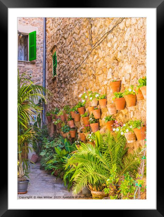 Traditional flower pots decoration Framed Mounted Print by Alex Winter