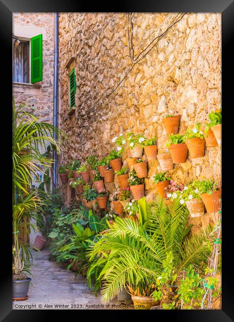 Traditional flower pots decoration Framed Print by Alex Winter