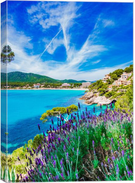 Beautiful view of Canyamel bay Canvas Print by Alex Winter