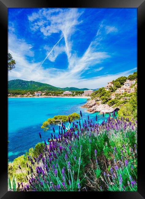Beautiful view of Canyamel bay Framed Print by Alex Winter