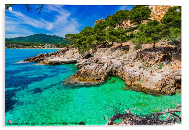 Spanish coastline  Acrylic by Alex Winter