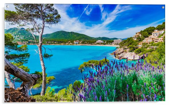 Canyamel Spain coastline Acrylic by Alex Winter