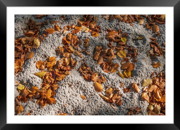 Fallen Autumn Leaves In Sand Framed Mounted Print by Artur Bogacki