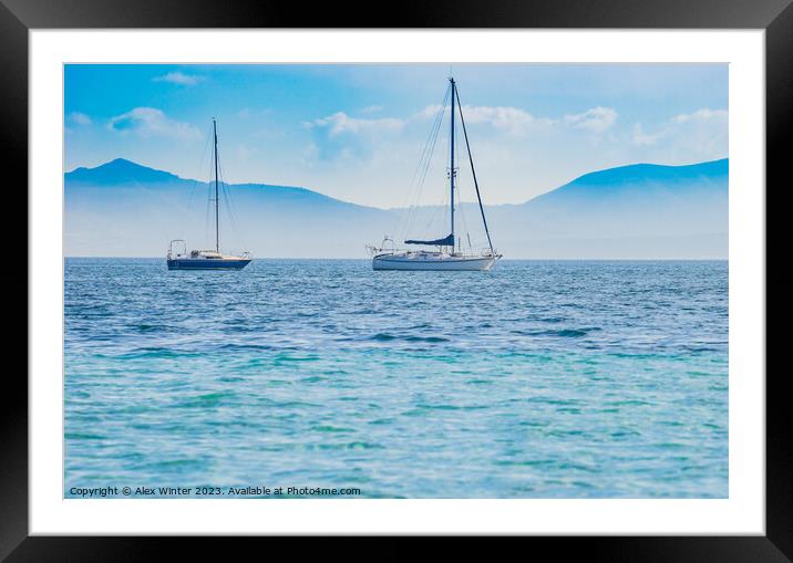 sailing yachts puerto pollensa Framed Mounted Print by Alex Winter