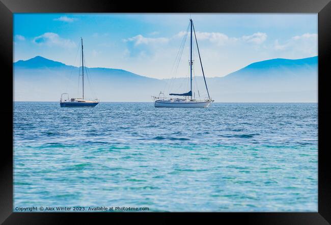 sailing yachts puerto pollensa Framed Print by Alex Winter