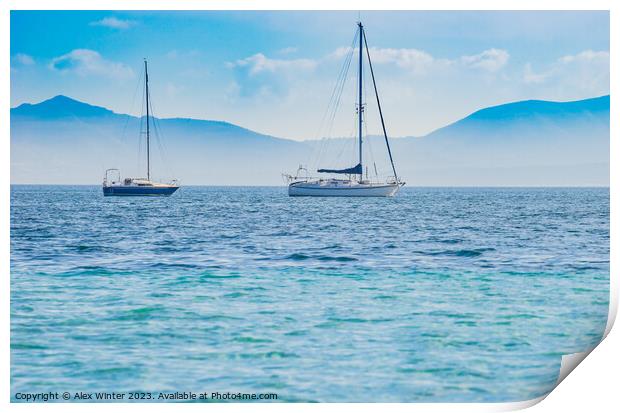 sailing yachts puerto pollensa Print by Alex Winter