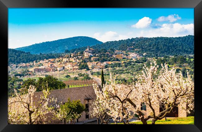 Selva in beautiful spring landscape on Mallorca Framed Print by Alex Winter