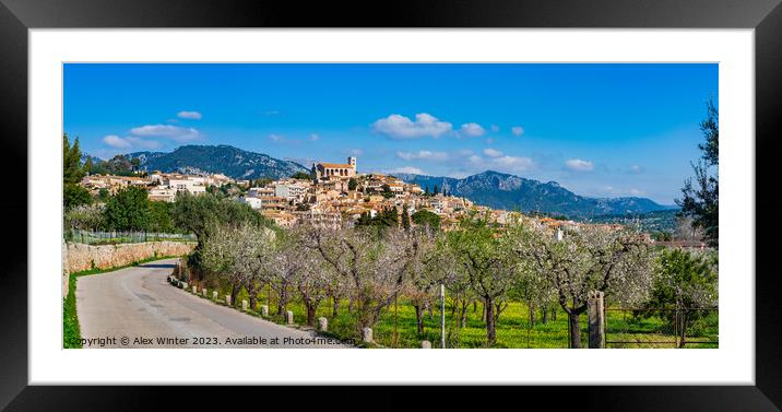 Selva Majorca springtime Framed Mounted Print by Alex Winter