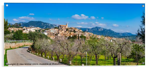 Selva Majorca springtime Acrylic by Alex Winter
