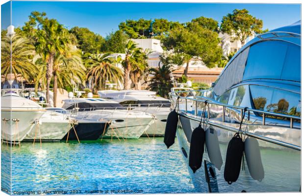 Marina of Cala D'or Canvas Print by Alex Winter