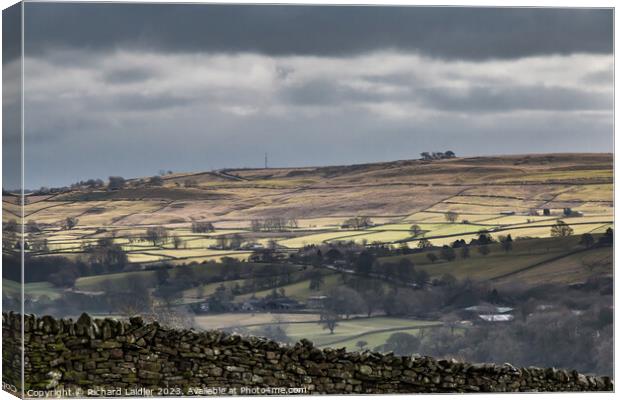 Bright Spot on Bail Hill, Teesdale Canvas Print by Richard Laidler
