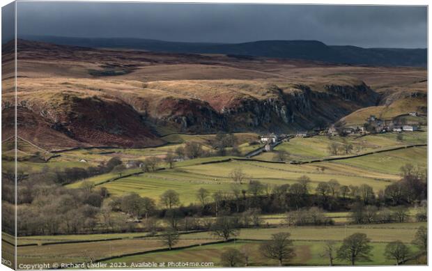 Bright Spot on Holwick Scar, Teesdale Canvas Print by Richard Laidler